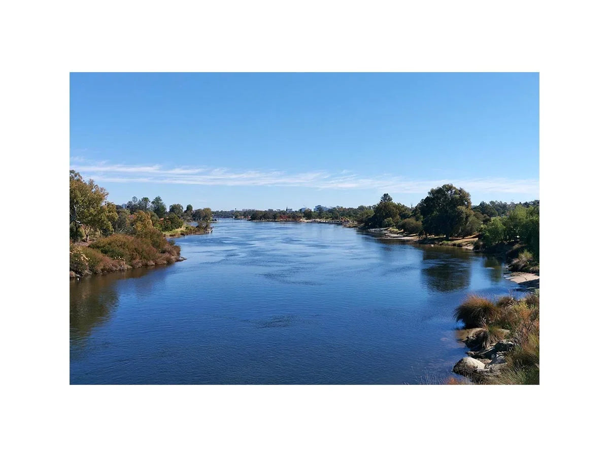 Swan River Canvas Print