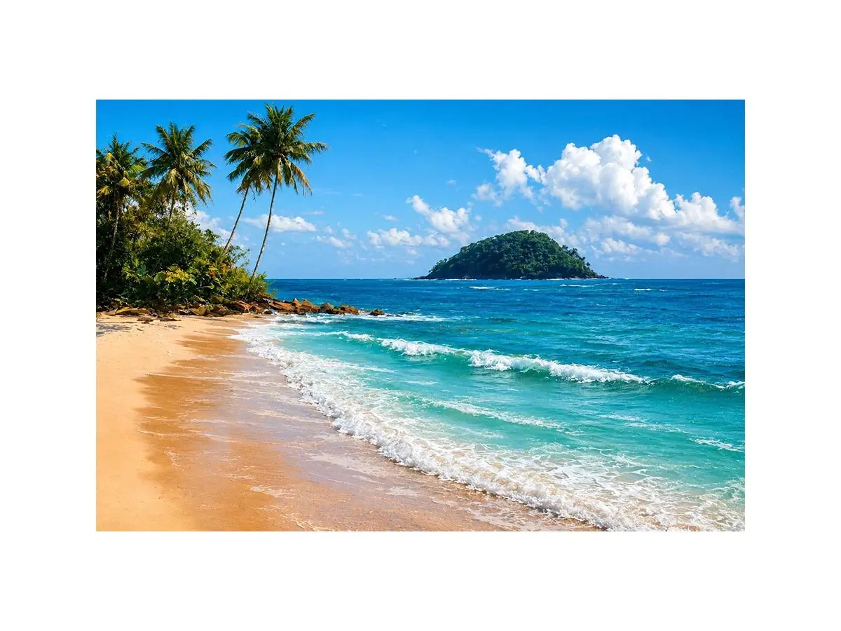 Ellis Beach