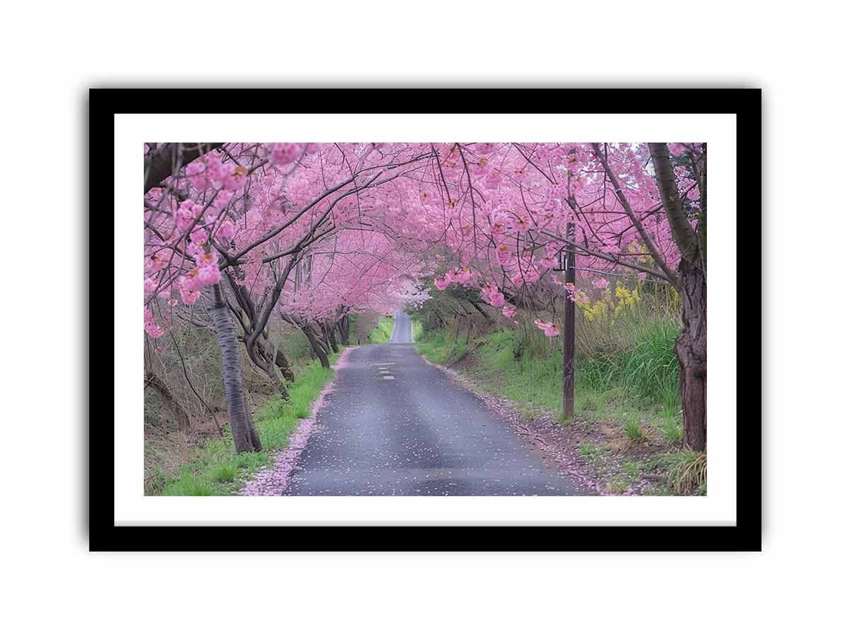 Cherry Blossom Path  Art Print