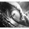Surfer