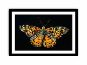 Butterfly  Art Print