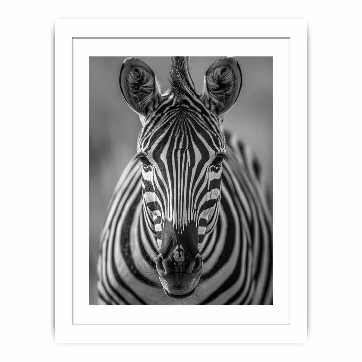 Zebra Stripes Streched canvas