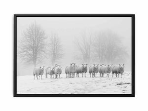 Sheep flock in snowy field canvas art for peaceful farmhouse or bedroom decor.