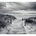 Beach Path