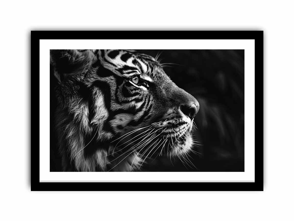 Lion   Art Print