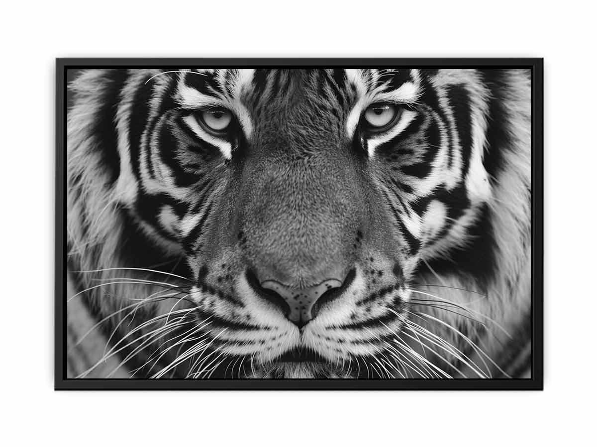 Close-up black and white tiger canvas art for bold modern living room decor.