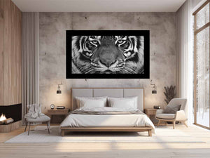 Close Up Lion Face