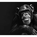 Ape Art
