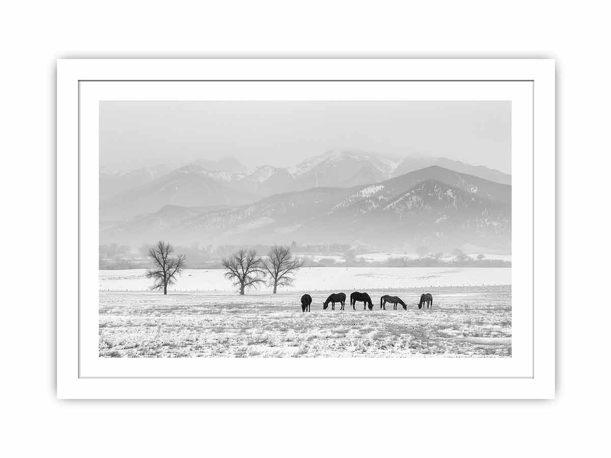 Open Filed Streched canvas