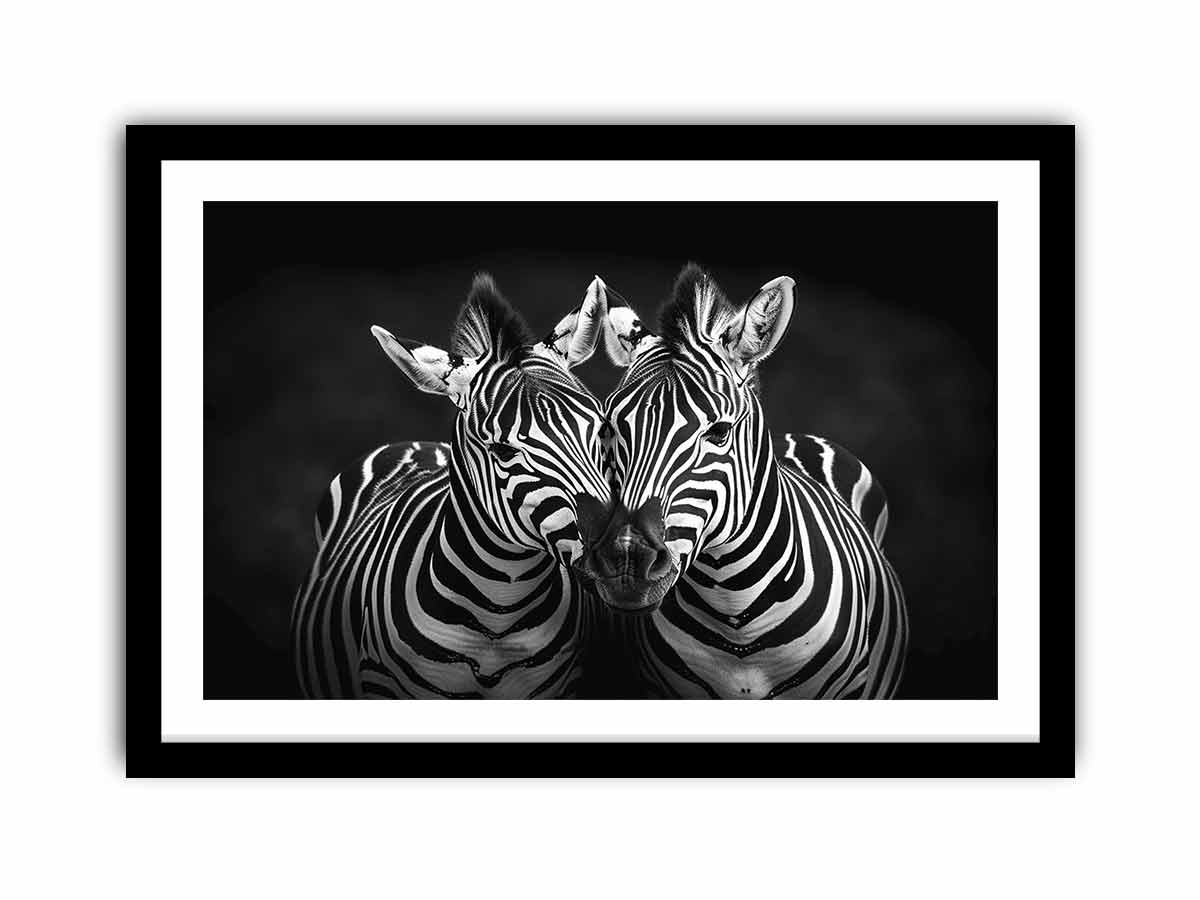 Two Zebras   Art Print