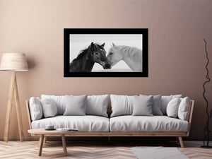 Horses Communicate  