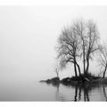 Misty Lake