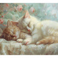 Cat Cute Baby