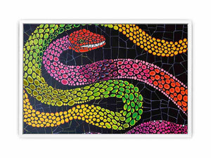 Snake  Framed Print