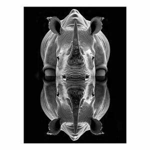 Rhino  art