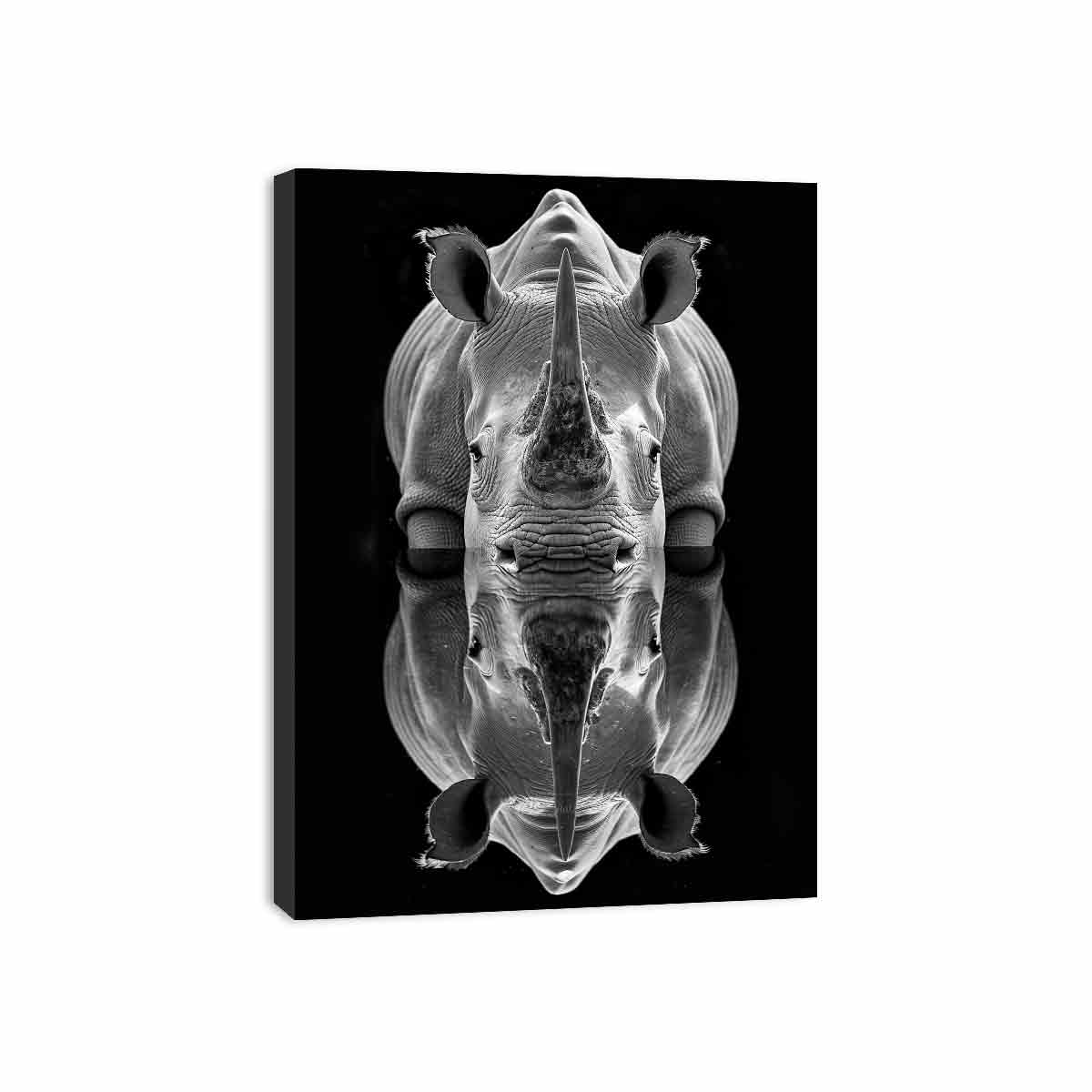 Rhino image