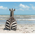 Calm Zebra