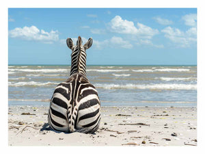 Calm Zebra