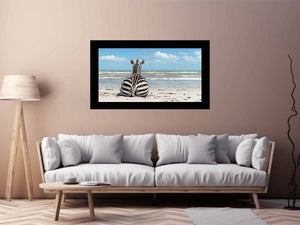 Calm Zebra 