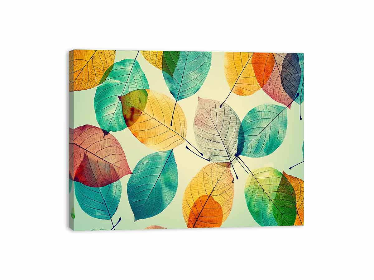 Beautiful Leaves  Canvas Print