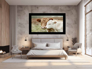 Cow Mother &  Child  