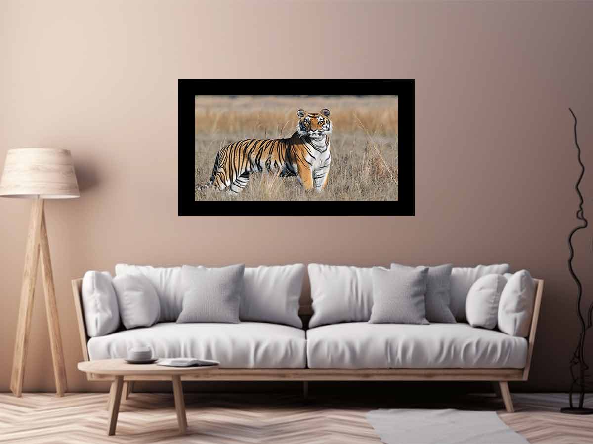 Tiger Wildlife Photography