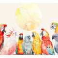 Parrot Meeting
