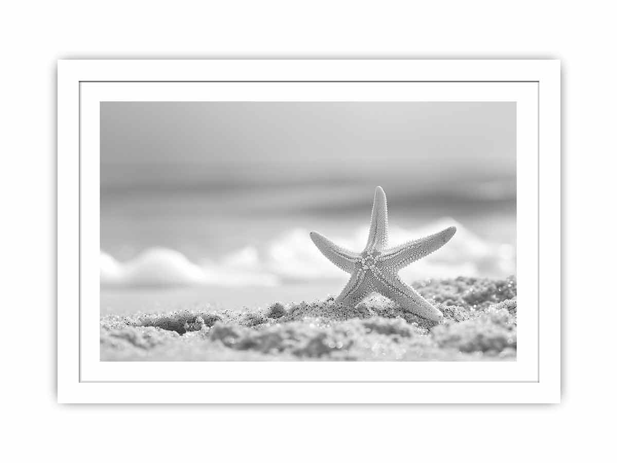 Starfish  Streched canvas