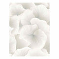 Flower Petals 