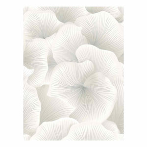 Flower Petals 