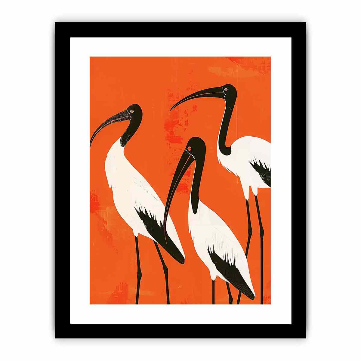 3 Ibis  Art Print
