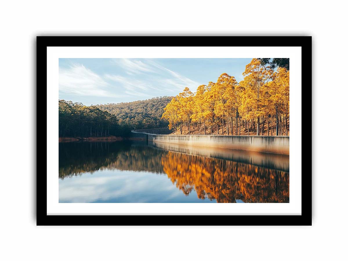 Framed Print