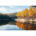 Whispers of Fall on the Lake