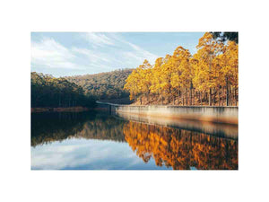 Whispers of Fall on the Lake