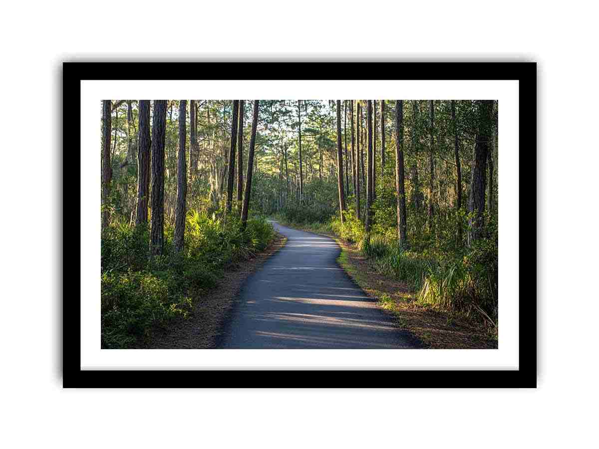 Framed Print