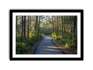 Framed Print