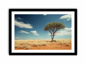 Framed Print