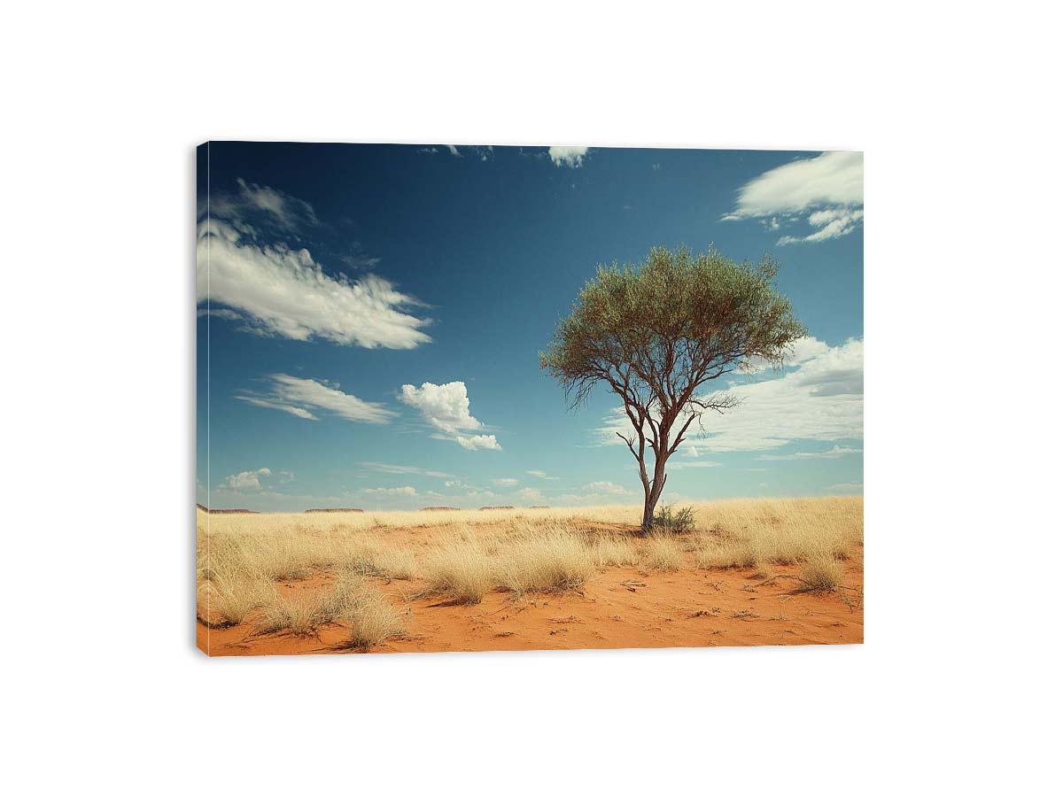 Streched canvas