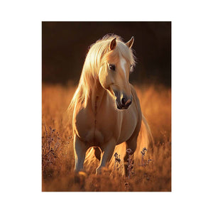 Innocent Gallop