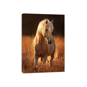 Streched canvas