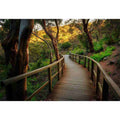 forest boardwalk woodland landscape artwork for modern living room decor