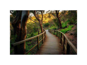 forest boardwalk woodland landscape artwork for modern living room decor