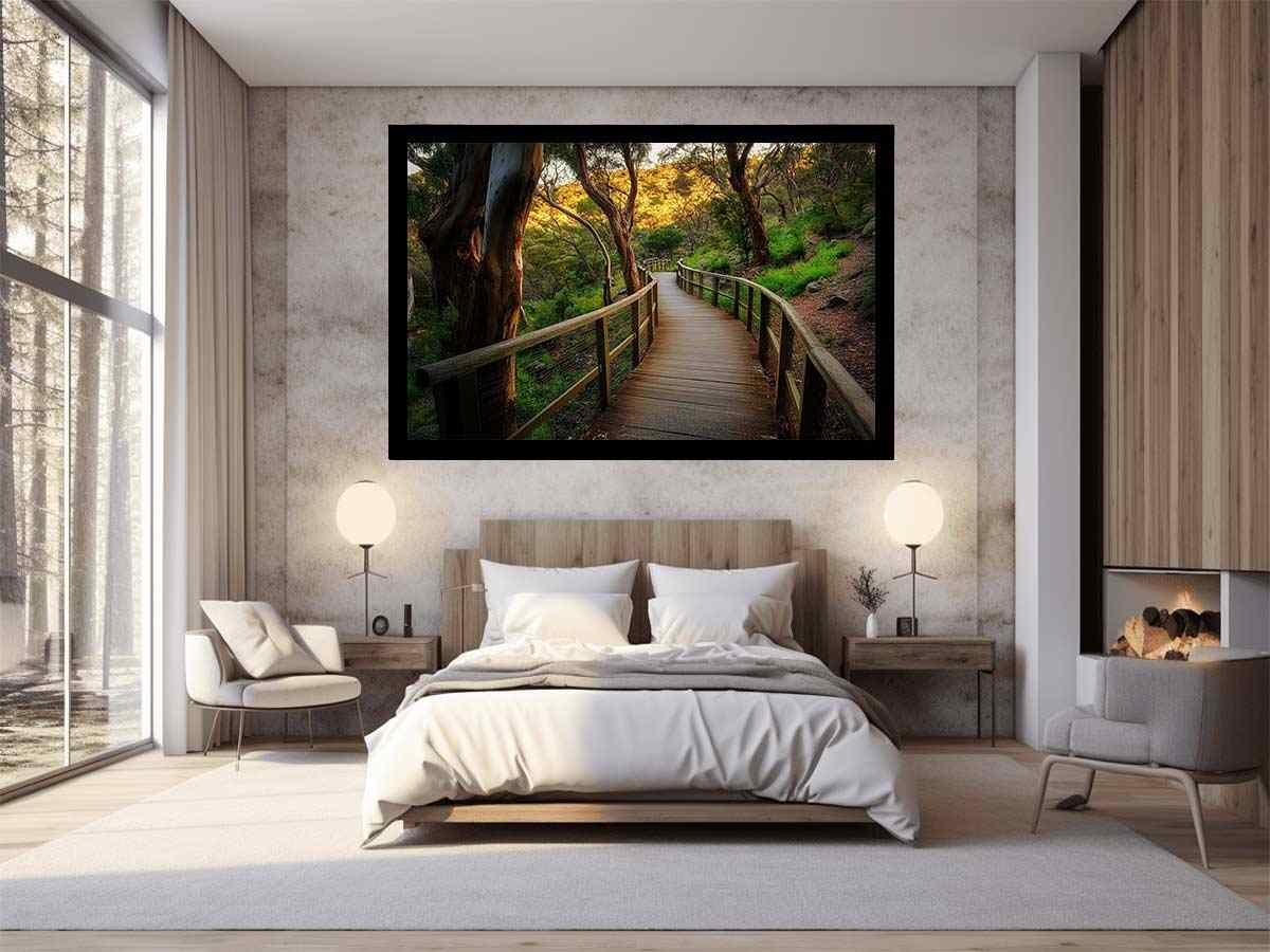 on Hold – Forest Boardwalk Woodland Landscape