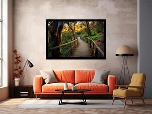 on Hold – Forest Boardwalk Woodland Landscape