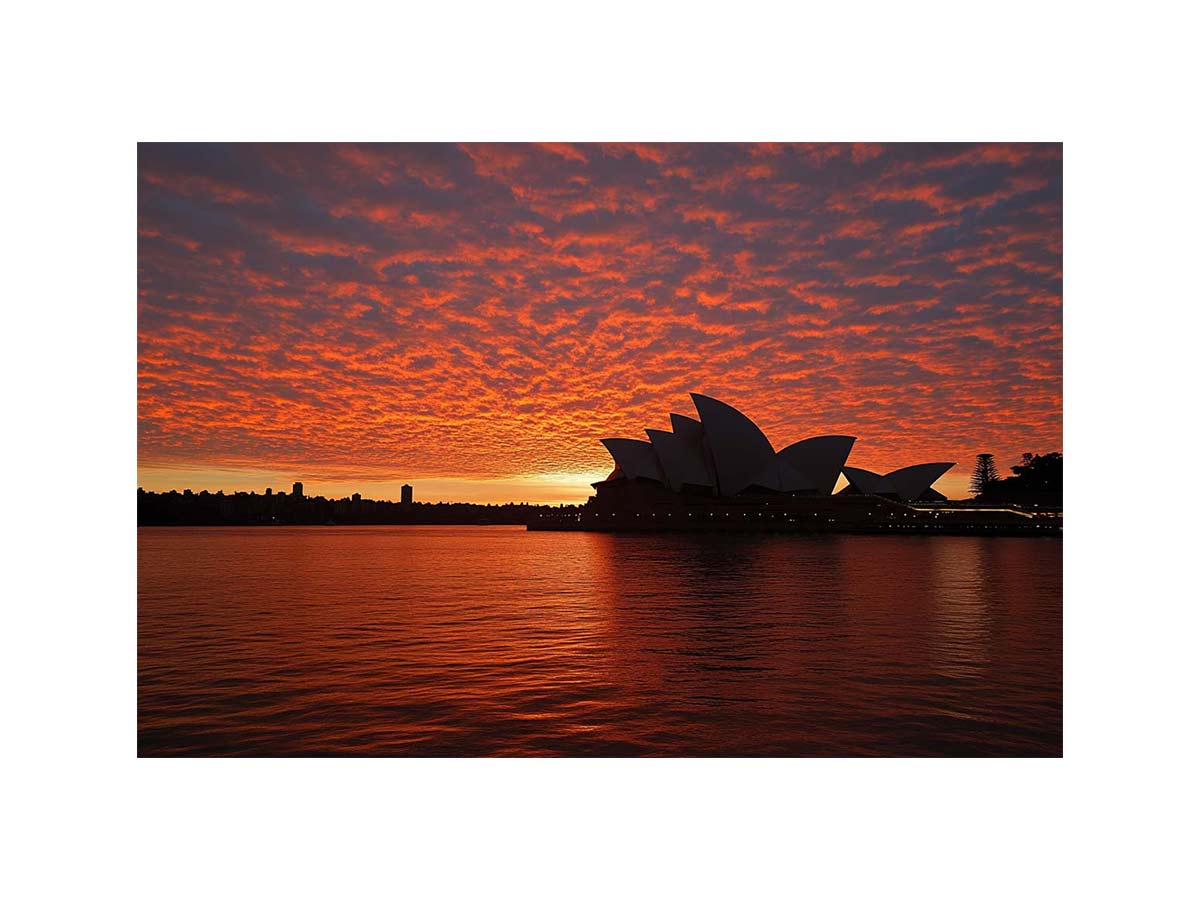 Harbor's Golden Glow