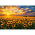   sunflower horizon canvas art
