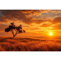   lone tree sunset landscape canvas print