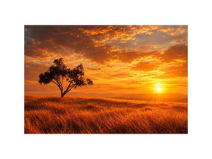   lone tree sunset landscape canvas print