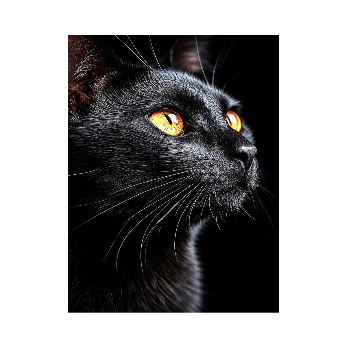   black cat portrait modern canvas print