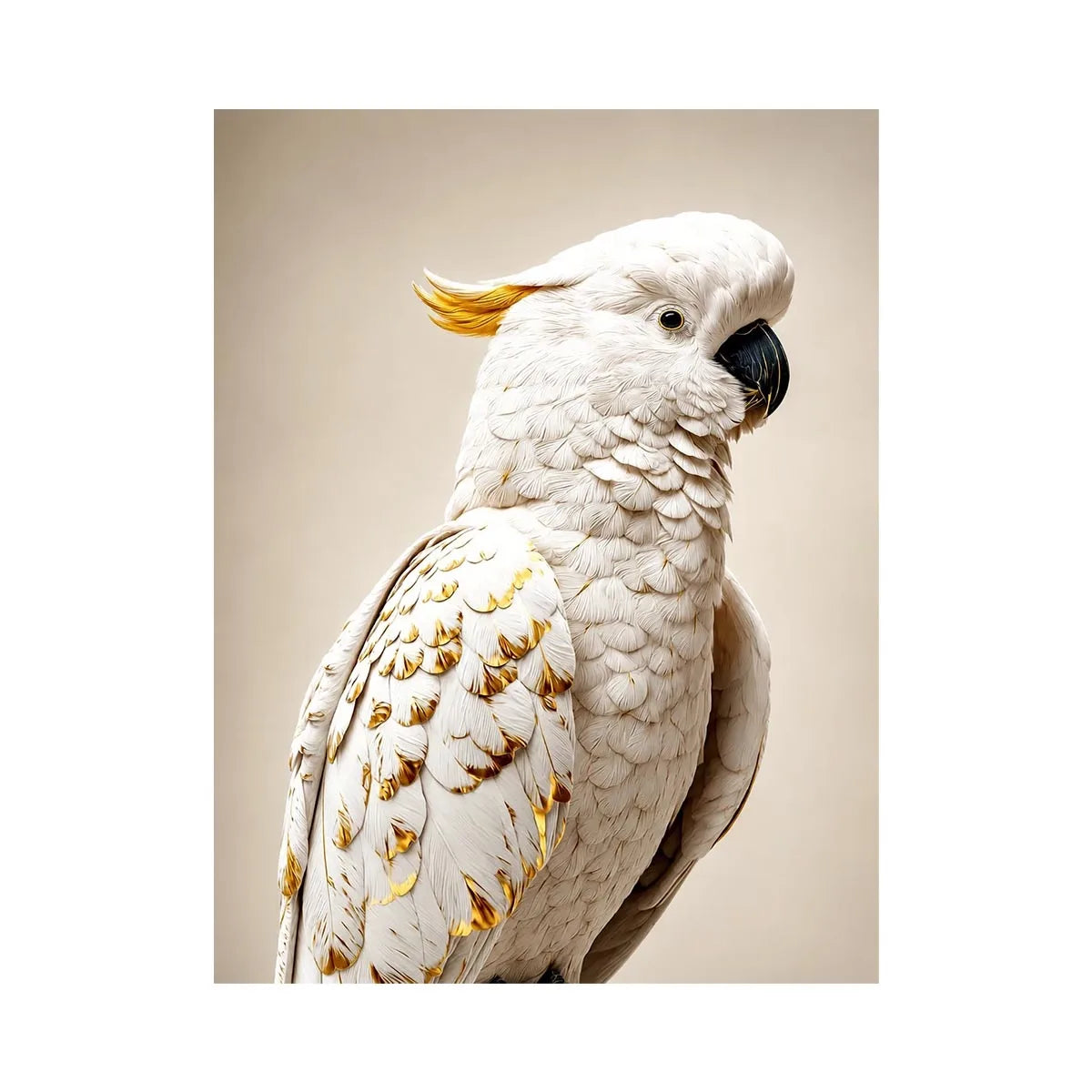 Image Alt Text